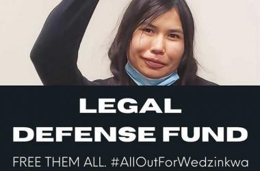 A person with dark hair and a black sweater raises their fist in the air. The text over top of the image reads: "Legal defense fund: FREE THEM ALL #AllOutForWedzinkwa."